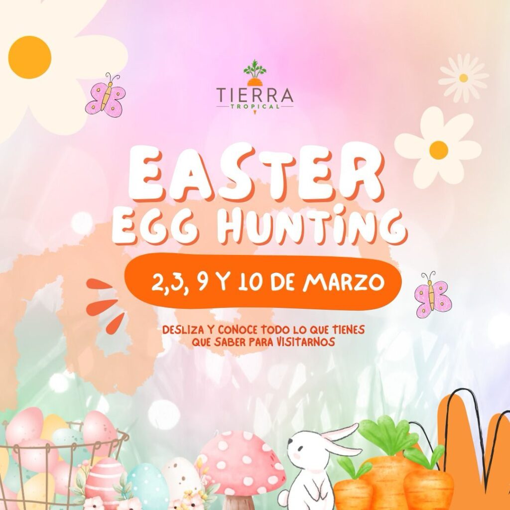 2e827caf-3d0b-4b10-8bde-f6da98274530