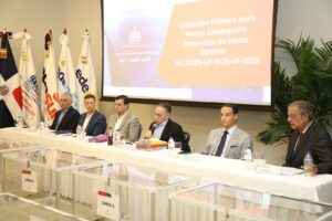 Gobierno incorpora por primera vez almacenamiento de energía en licitación de renovables