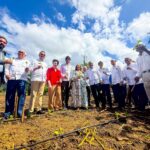 INTABACO da inicio a Cosecha Tabacalera 2025-2026 con siembra récord de más de 160 mil tareas