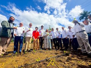 INTABACO Da Inicio a Cosecha Tabacalera 2025-2026 con Siembra Récord de Más de 160 Mil Tareas
