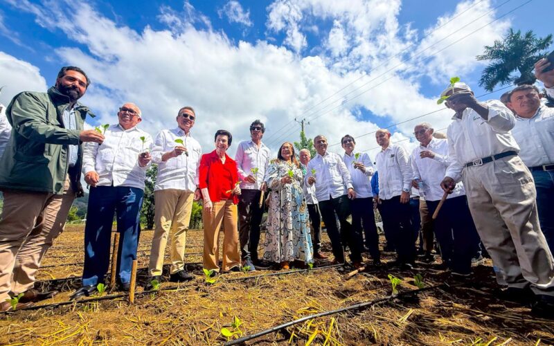 INTABACO Da Inicio a Cosecha Tabacalera 2025-2026 con Siembra Récord de Más de 160 Mil Tareas