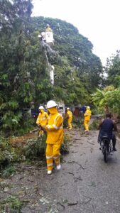 WhatsApp Image 2025-10-27 at 3.14.17 PM