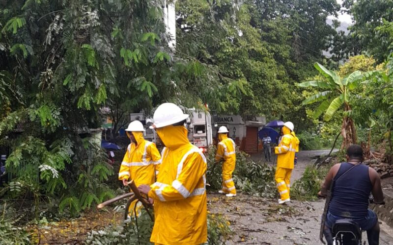 WhatsApp Image 2025-10-27 at 3.14.17 PM