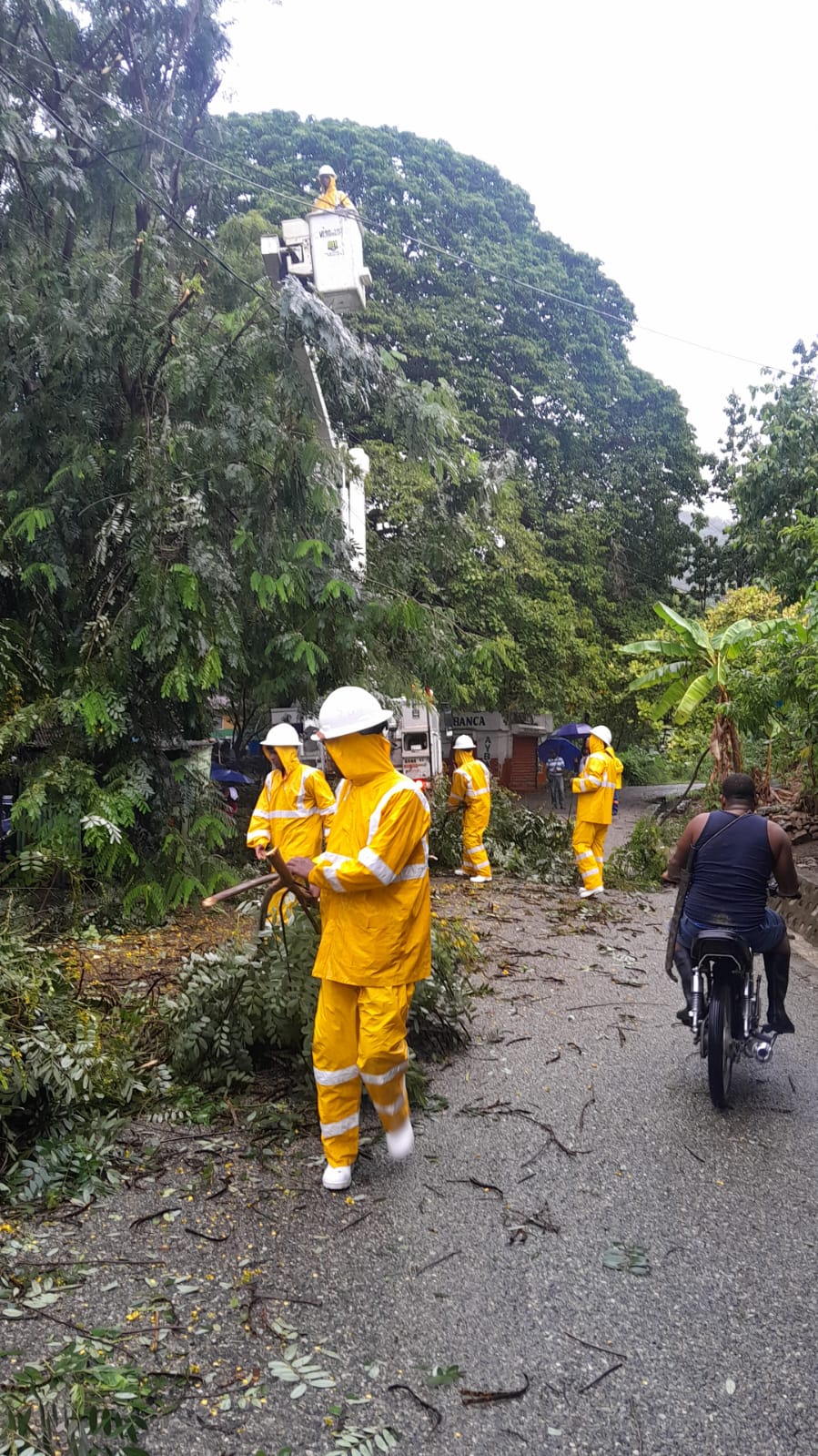 WhatsApp Image 2025-10-27 at 3.14.17 PM